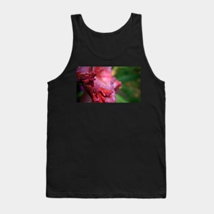 Water Droplets on Pink Gladiolus Petals Tank Top